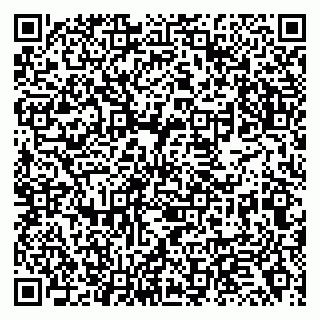 vCard 79138276352