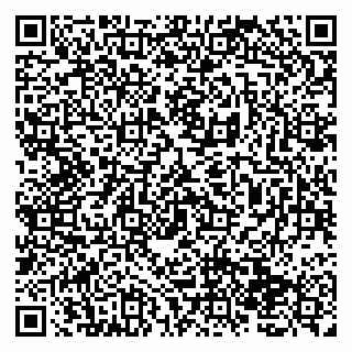 vCard 79138276384