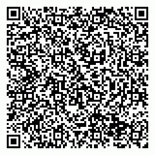 vCard 79138276397