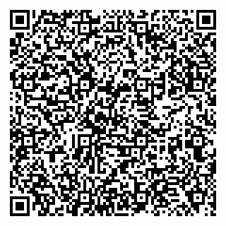 vCard 79138277303