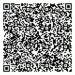 vCard 79138277409