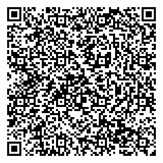vCard 79138277447