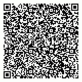 vCard 79138277455
