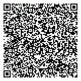vCard 79138277481