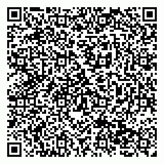 vCard 79138277482