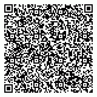 vCard 79138277488