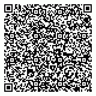 vCard 79138277635
