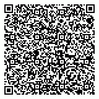 vCard 79138277992