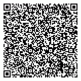vCard 79138278294