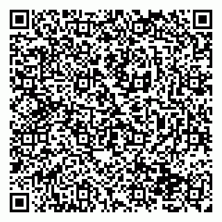 vCard 79138278317