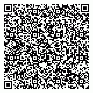 vCard 79138278489