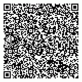 vCard 79138278784