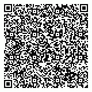 vCard 79138278787