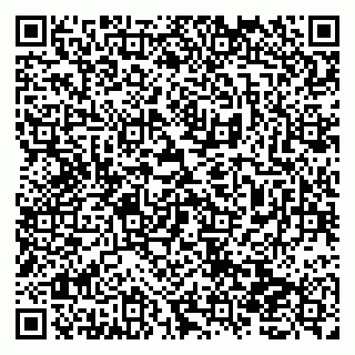 vCard 79138278902
