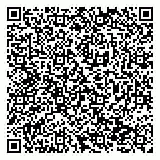 vCard 79138278908