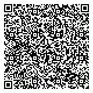 vCard 79138278939