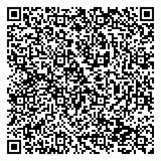 vCard 79138278945