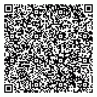 vCard 79138279028