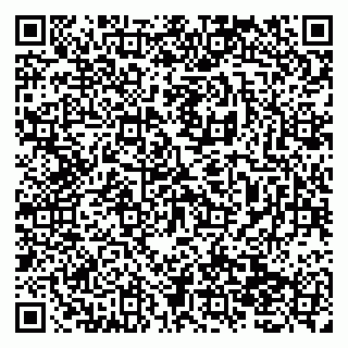 vCard 79138279031