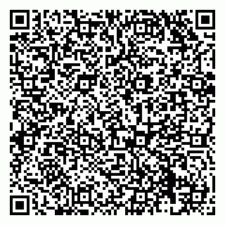 vCard 79138279294