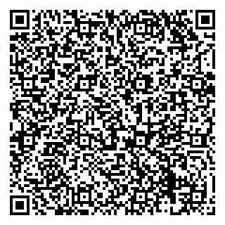 vCard 79138279331
