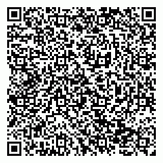 vCard 79138279552