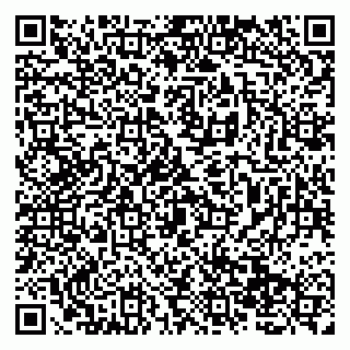 vCard 79138279679