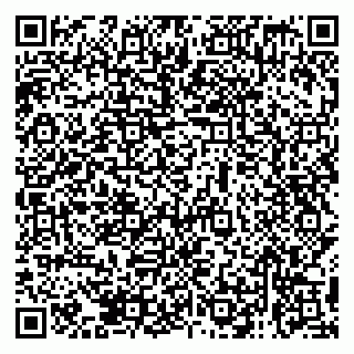 vCard 79138279697