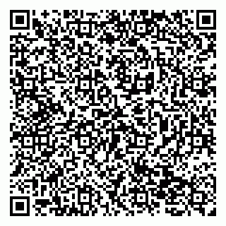 vCard 79138279869