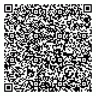 vCard 79138279986