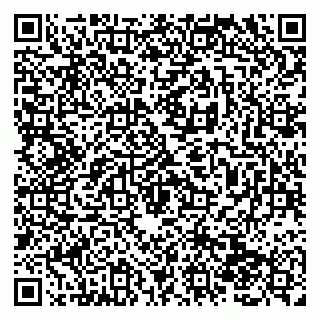 vCard 79138280004