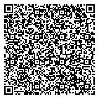vCard 79138280102