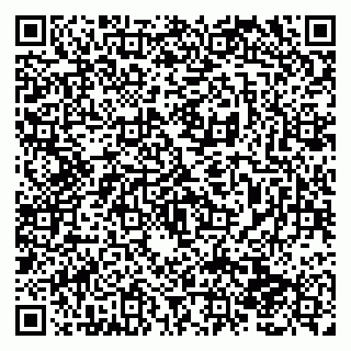 vCard 79138280109