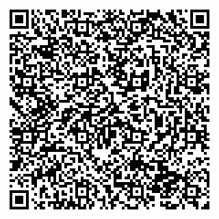 vCard 79138280141