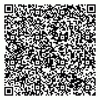vCard 79138280146
