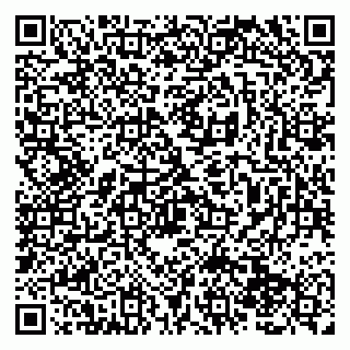 vCard 79138280201