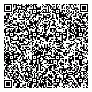 vCard 79138280225