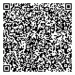 vCard 79138280262