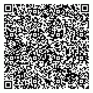 vCard 79138280271