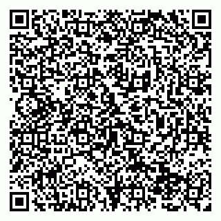 vCard 79138280294