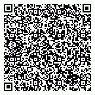 vCard 79138280337