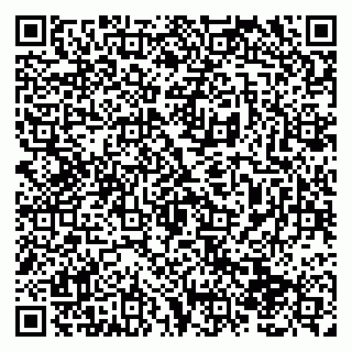 vCard 79138280353