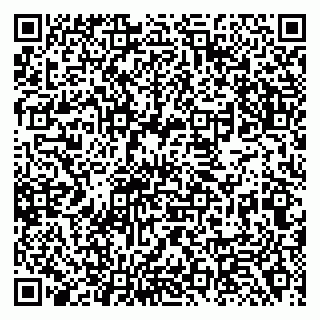 vCard 79138280378