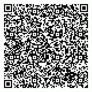 vCard 79138280397