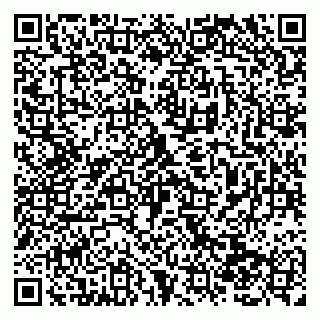 vCard 79138280433