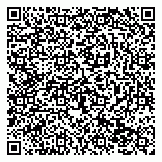 vCard 79138280449