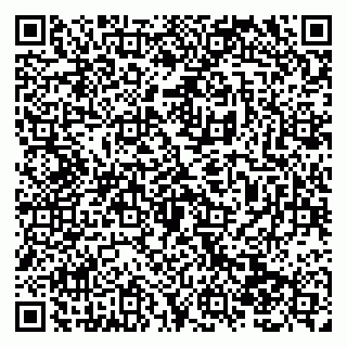 vCard 79138280455