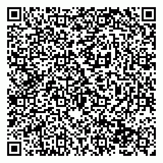 vCard 79138280705