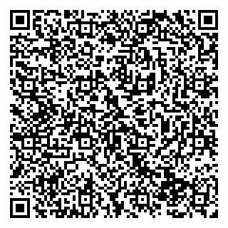 vCard 79138280717