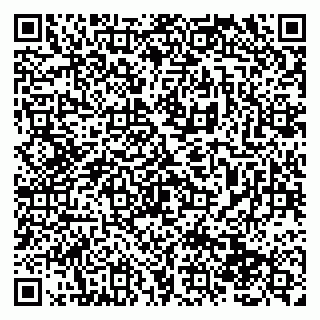 vCard 79138280749